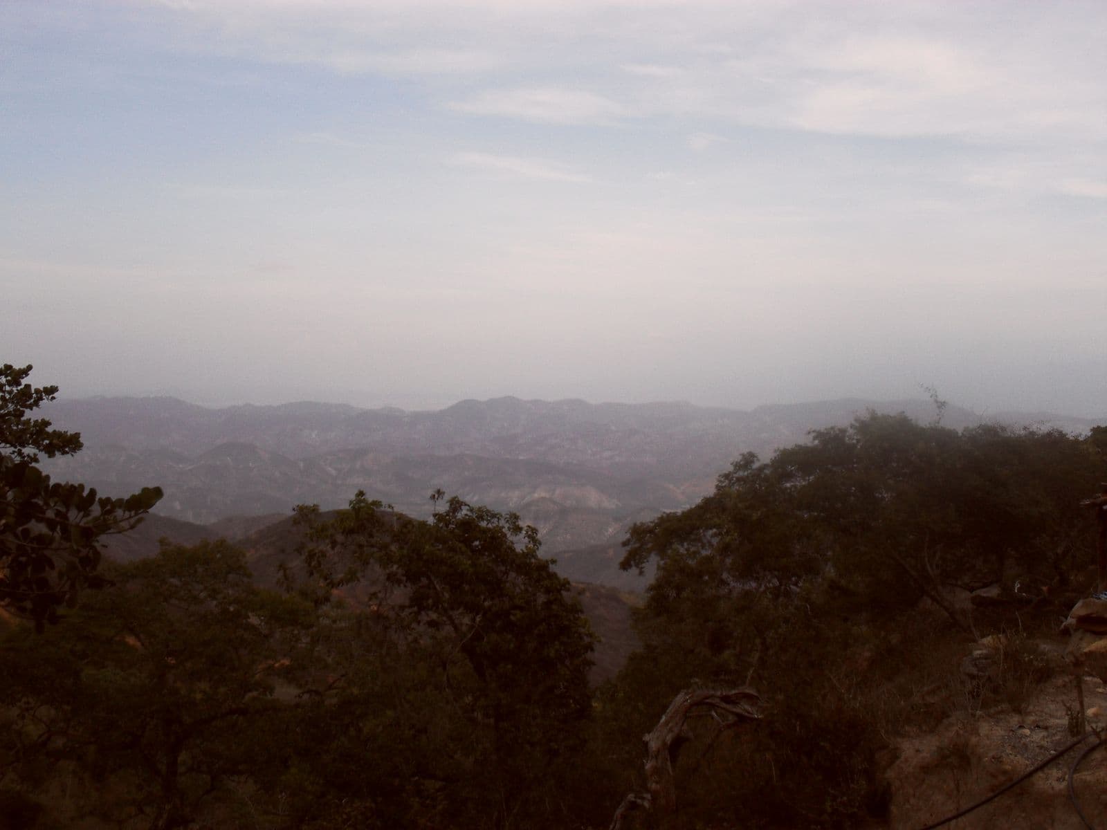 Monte Negro mountain, in El Tocuyo, covered in vegetation