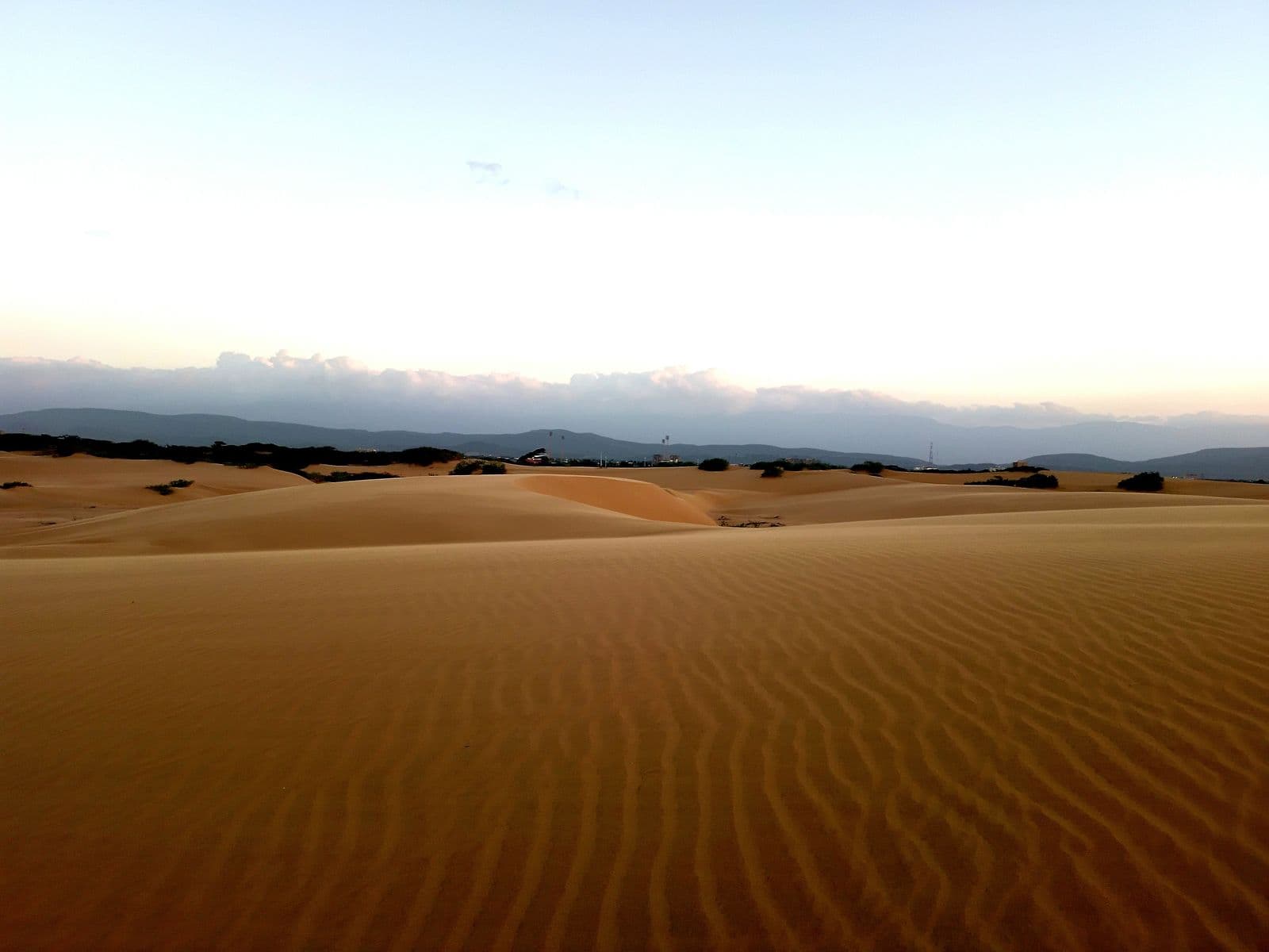 Rippled sand dunes in Parque Nacional Los Médanos de Coro