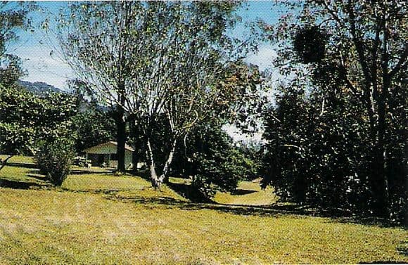 Grassy clearing with tall trees and a red-roofed house in Parque Nacional Yacambú